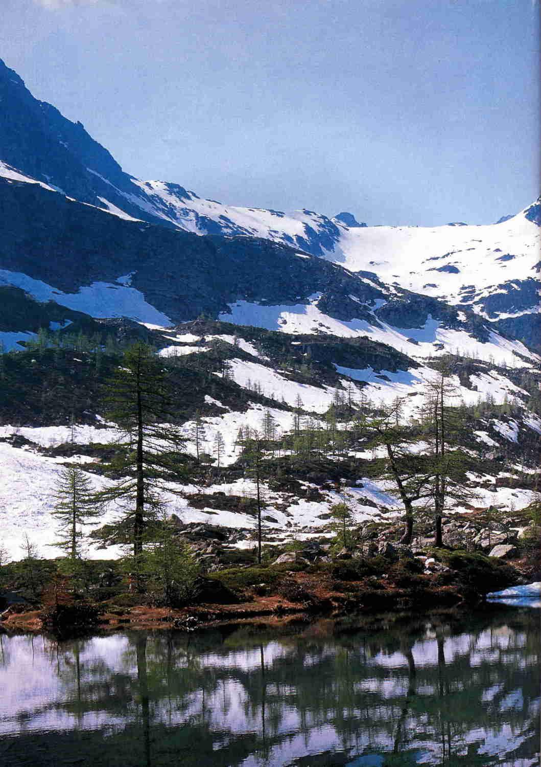 Hotel Tavernier Courmayeur Kültér fotó