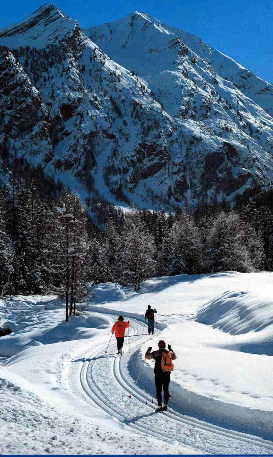 Hotel Tavernier Courmayeur Kültér fotó